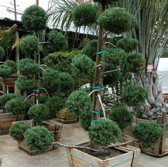 Meet your Posher, Barbara - Picture 1 of 1